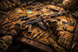 Килимок для чищення зброї 900х400 мм Work Place Ukrainian Tactical Table BT-0520 фото 5